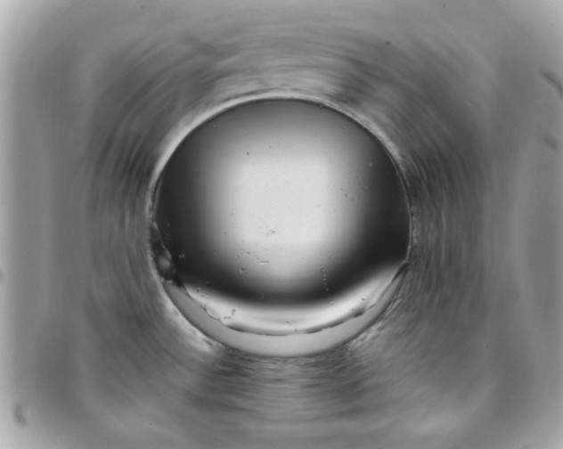 X0000097781532200803211747