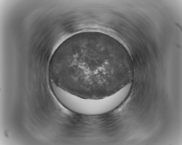 X0000097781533200803211747