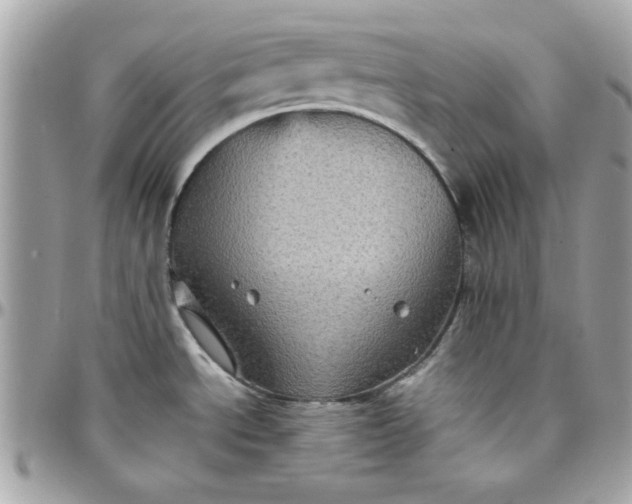 X0000097781534200803211747