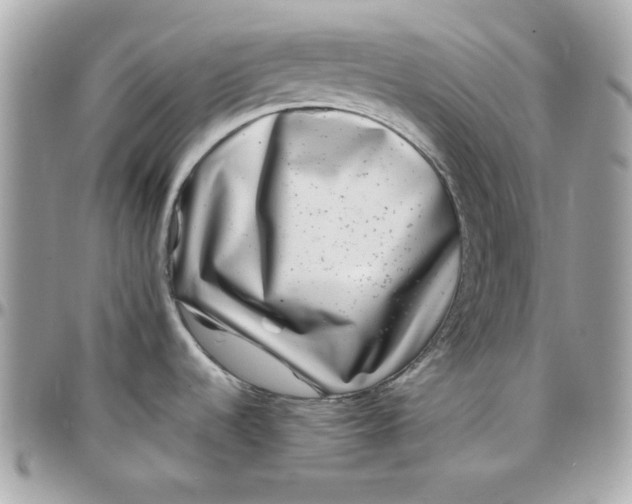 X0000097781536200803211747