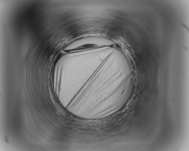 X0000097780001200803281712