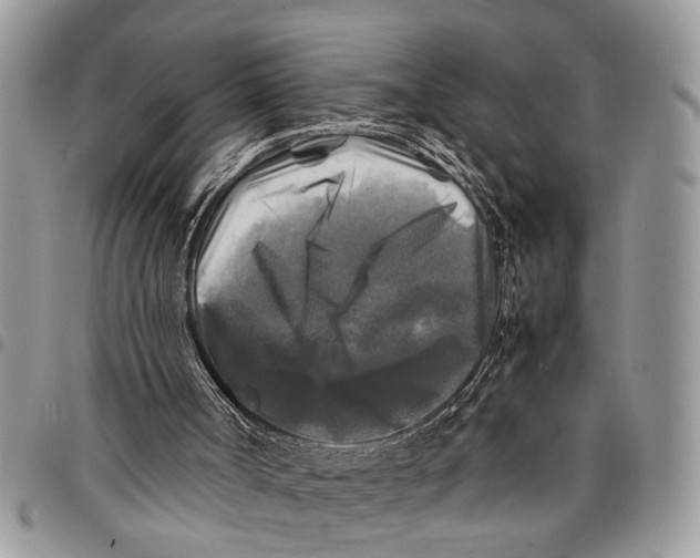 X0000097780002200803281712