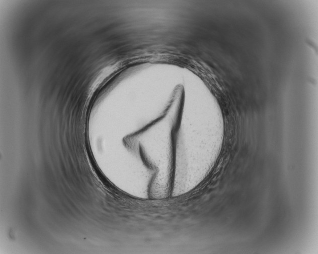 X0000097780003200803281712