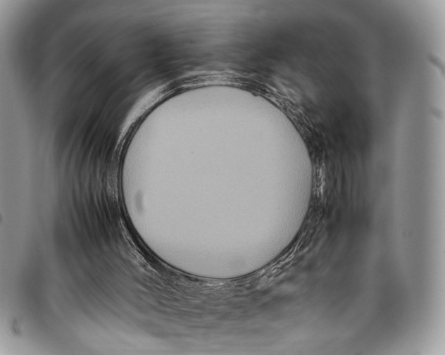 X0000097780004200803281712