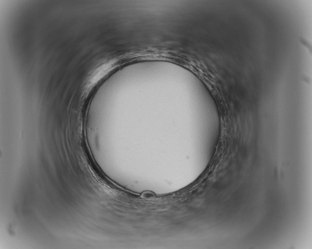 X0000097780005200803281712