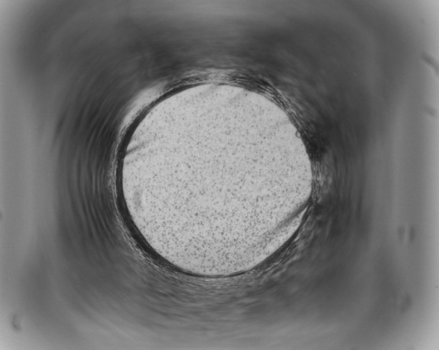 X0000097780006200803281712