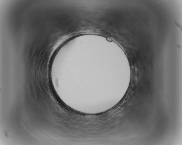 X0000097780008200803281712