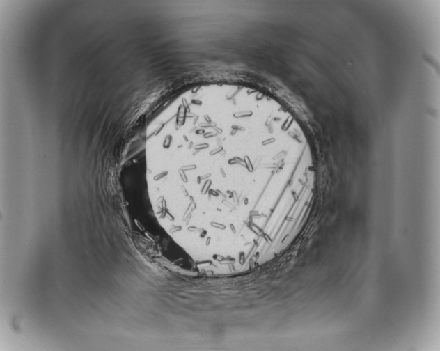 X0000097780009200803281712