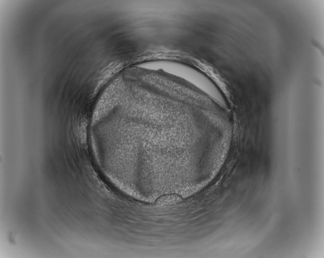 X0000097780010200803281712