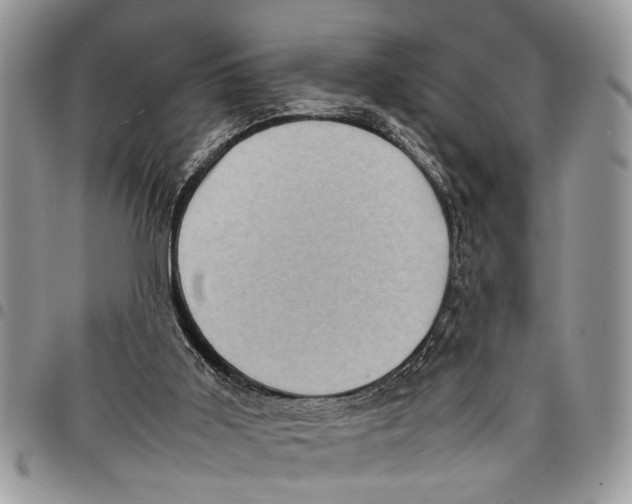 X0000097780011200803281712