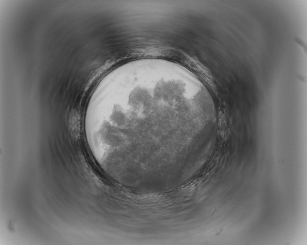 X0000097780012200803281712