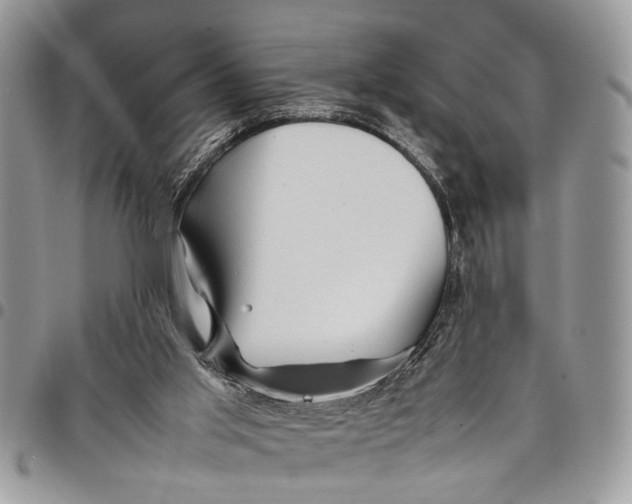 X0000097780013200803281712