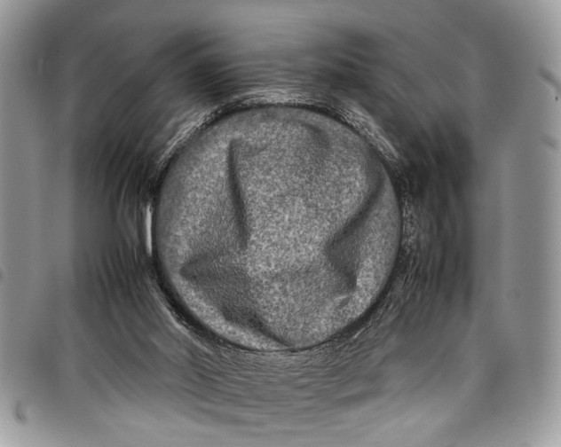 X0000097780014200803281712