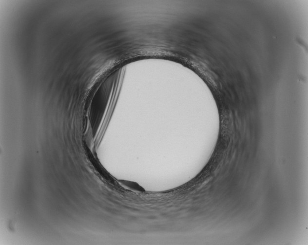 X0000097780015200803281711