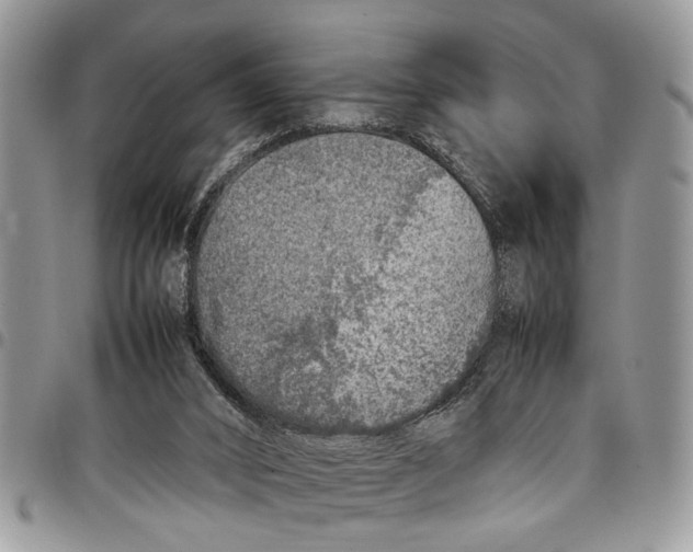 X0000097780016200803281711