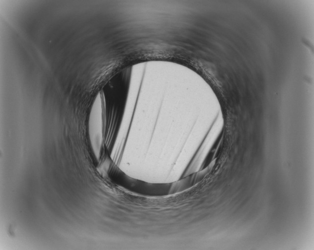 X0000097780017200803281711