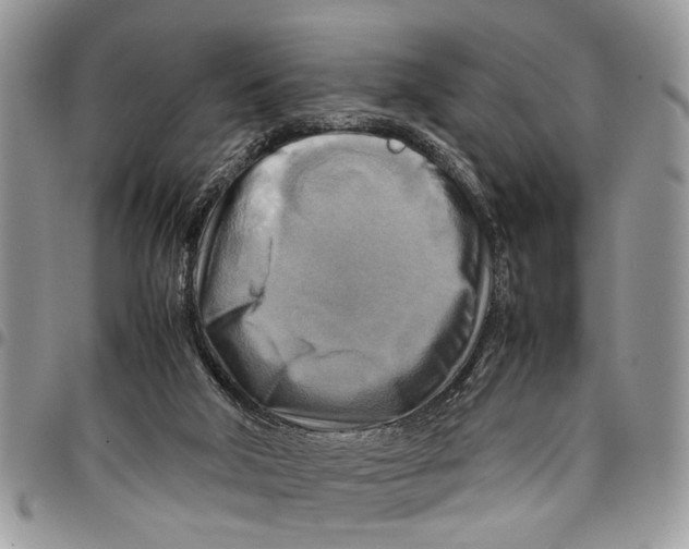 X0000097780018200803281711