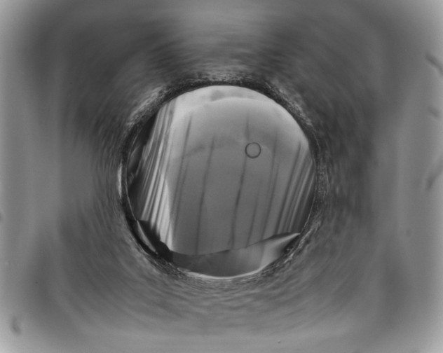 X0000097780019200803281711