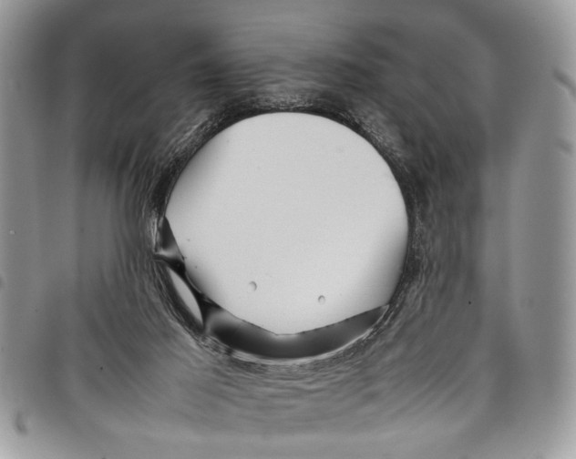 X0000097780021200803281711