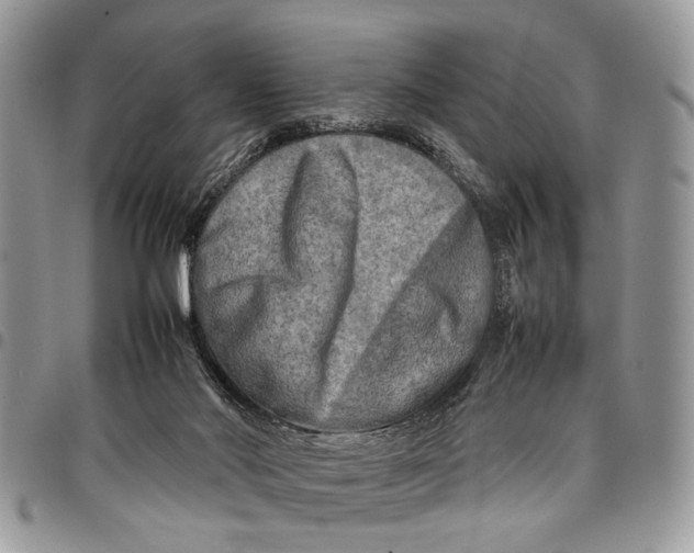 X0000097780022200803281711