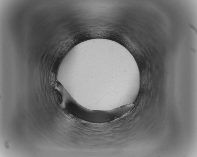 X0000097780025200803281711