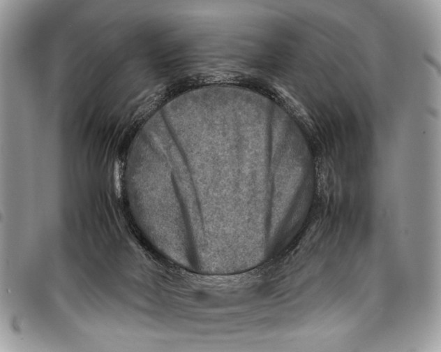 X0000097780026200803281711