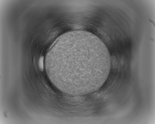 X0000097780028200803281711