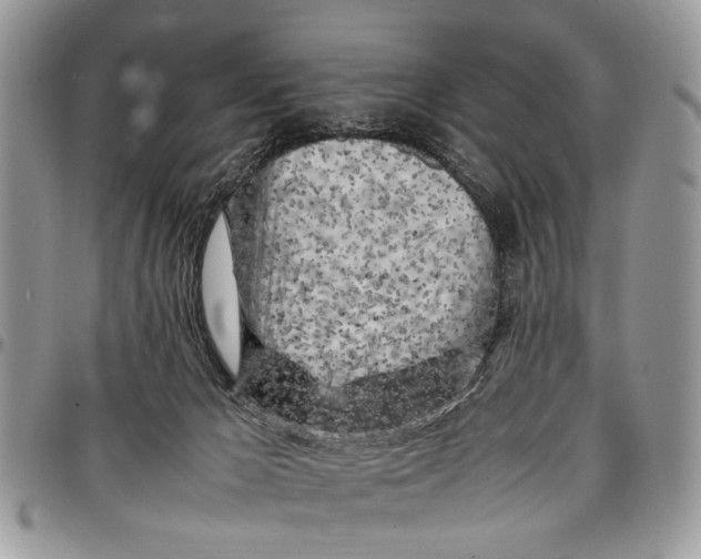 X0000097780029200803281711