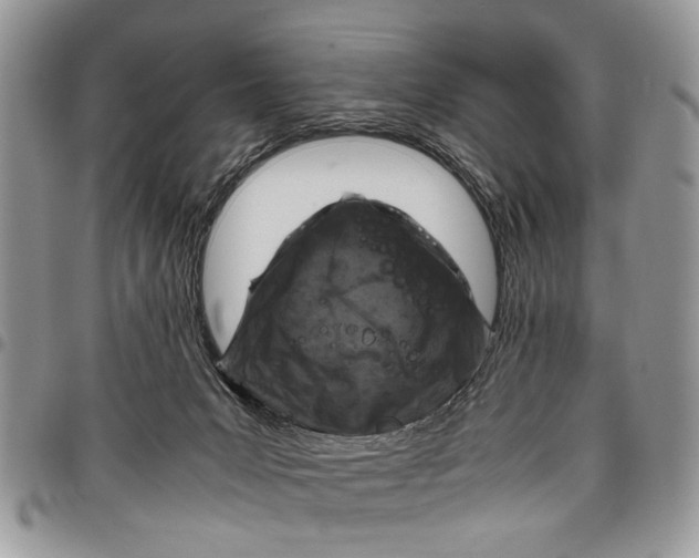 X0000097780031200803281711