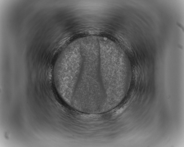 X0000097780032200803281711