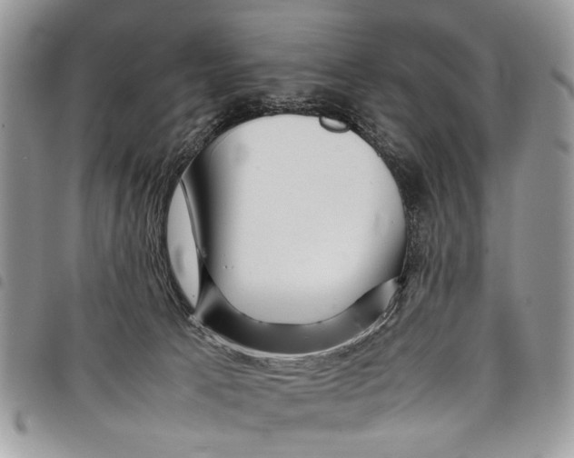 X0000097780033200803281711