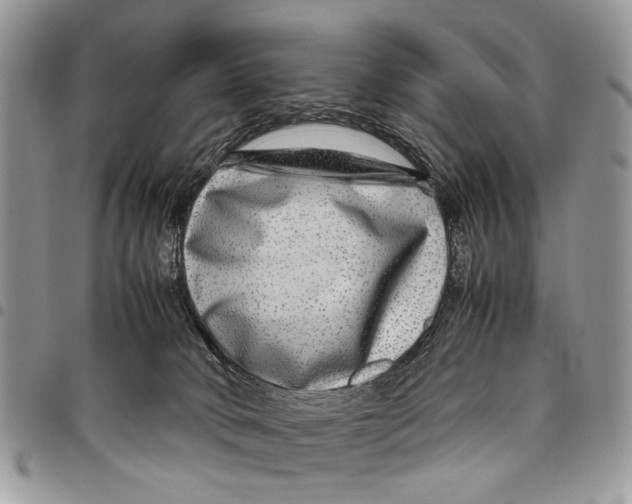 X0000097780034200803281711