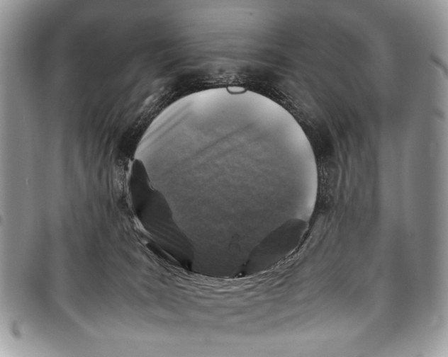 X0000097780035200803281711