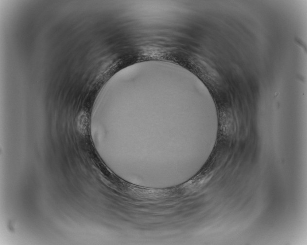 X0000097780036200803281711