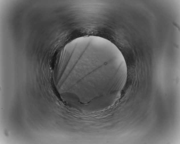 X0000097780039200803281711