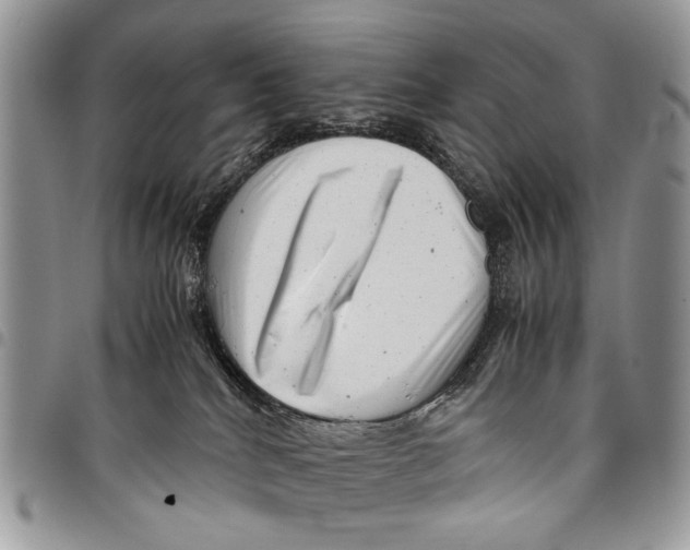 X0000097780040200803281711