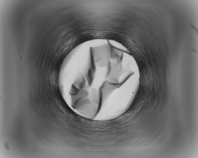 X0000097780044200803281711