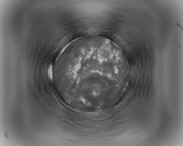 X0000097780046200803281711