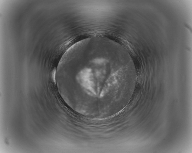 X0000097780047200803281711