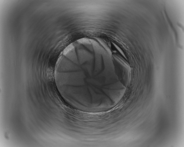 X0000097780048200803281711