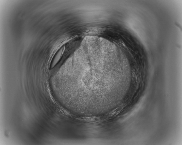 X0000097780049200803281710