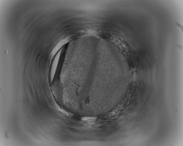 X0000097780051200803281710