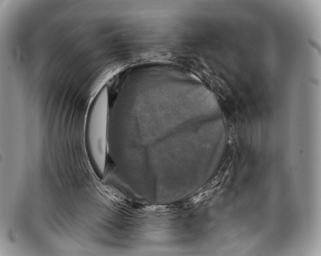 X0000097780052200803281710