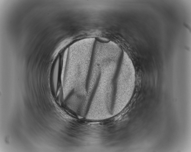 X0000097780054200803281710