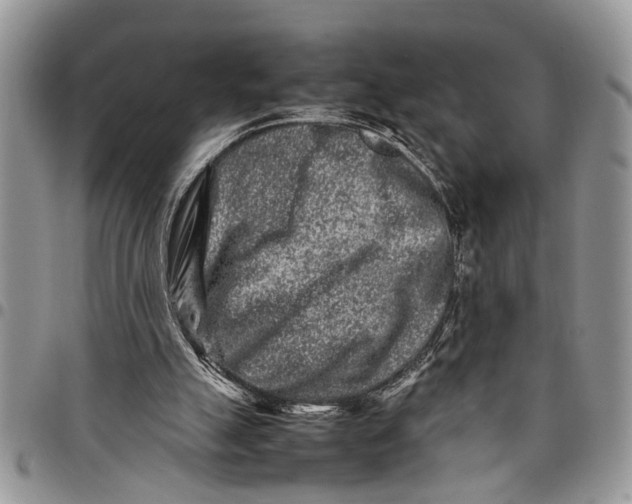 X0000097780055200803281710