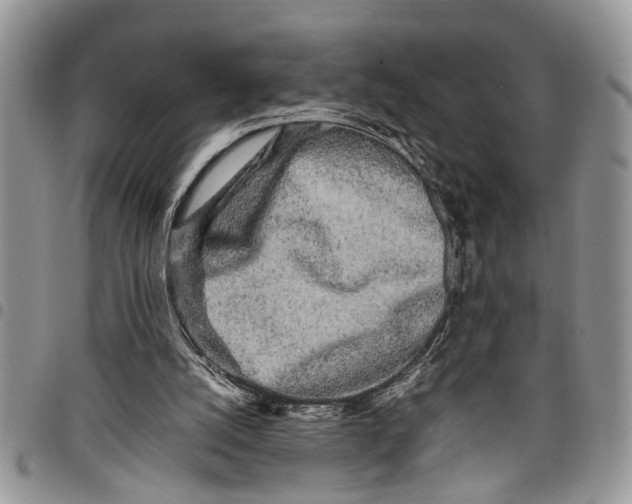 X0000097780056200803281710