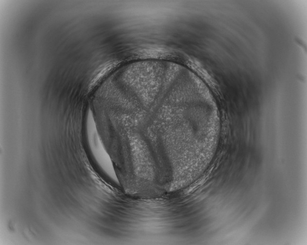 X0000097780058200803281710