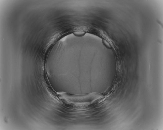 X0000097780059200803281711