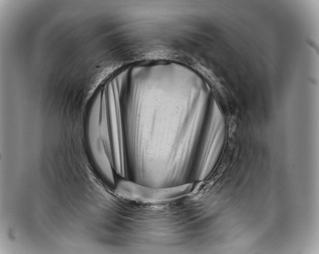 X0000097780060200803281711