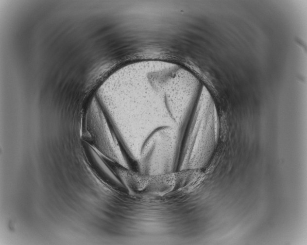 X0000097780062200803281711